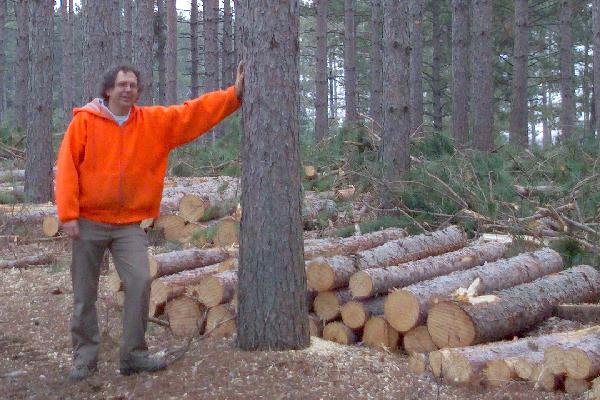 Mark Logging Job