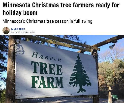 WCCO News on Hansen Christmas Tree Farm