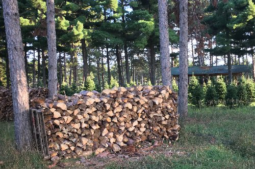 Wood Pile