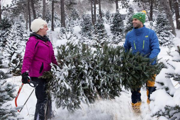 Its fun cutting your very own tree!