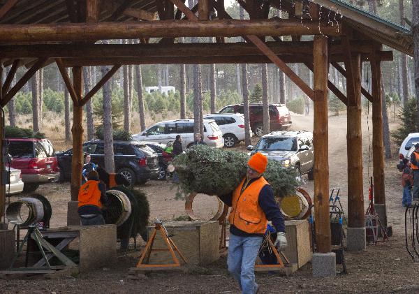 Tryg hefts a tree from baler to a customer’s vehicle